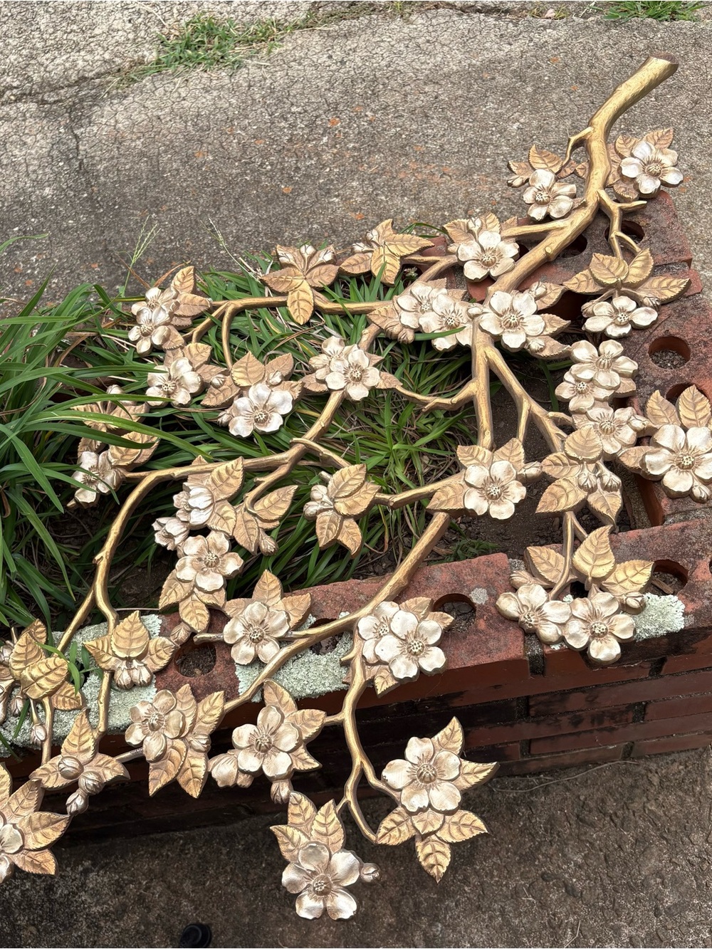 MCM Dogwood Branch